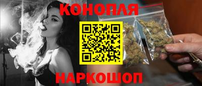 сатива Камышлов