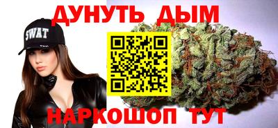 сатива Камышлов